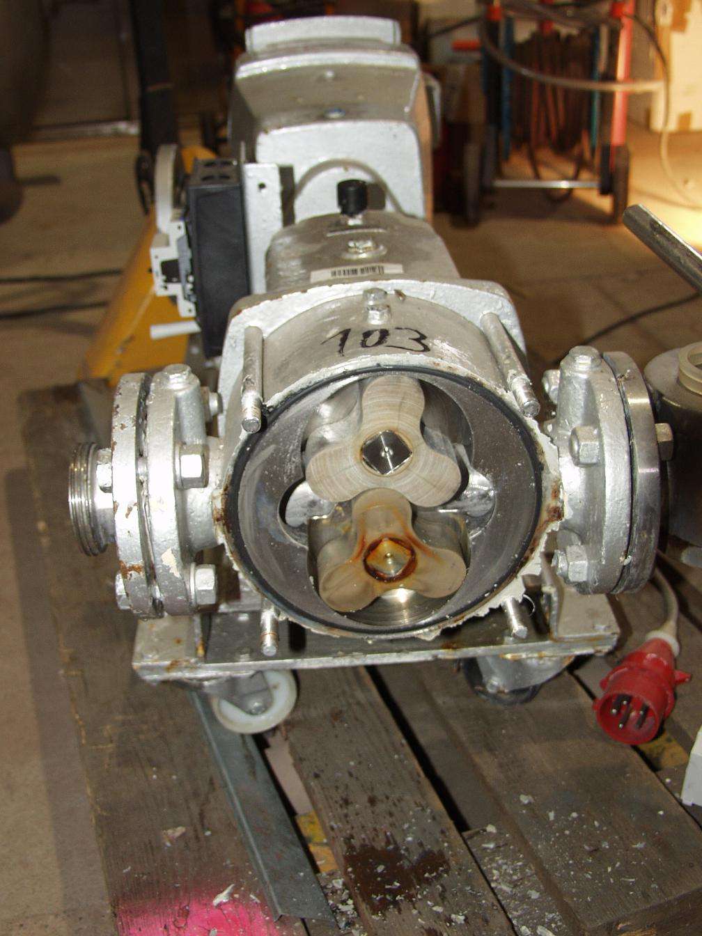 Rotary Lobe Pump 2