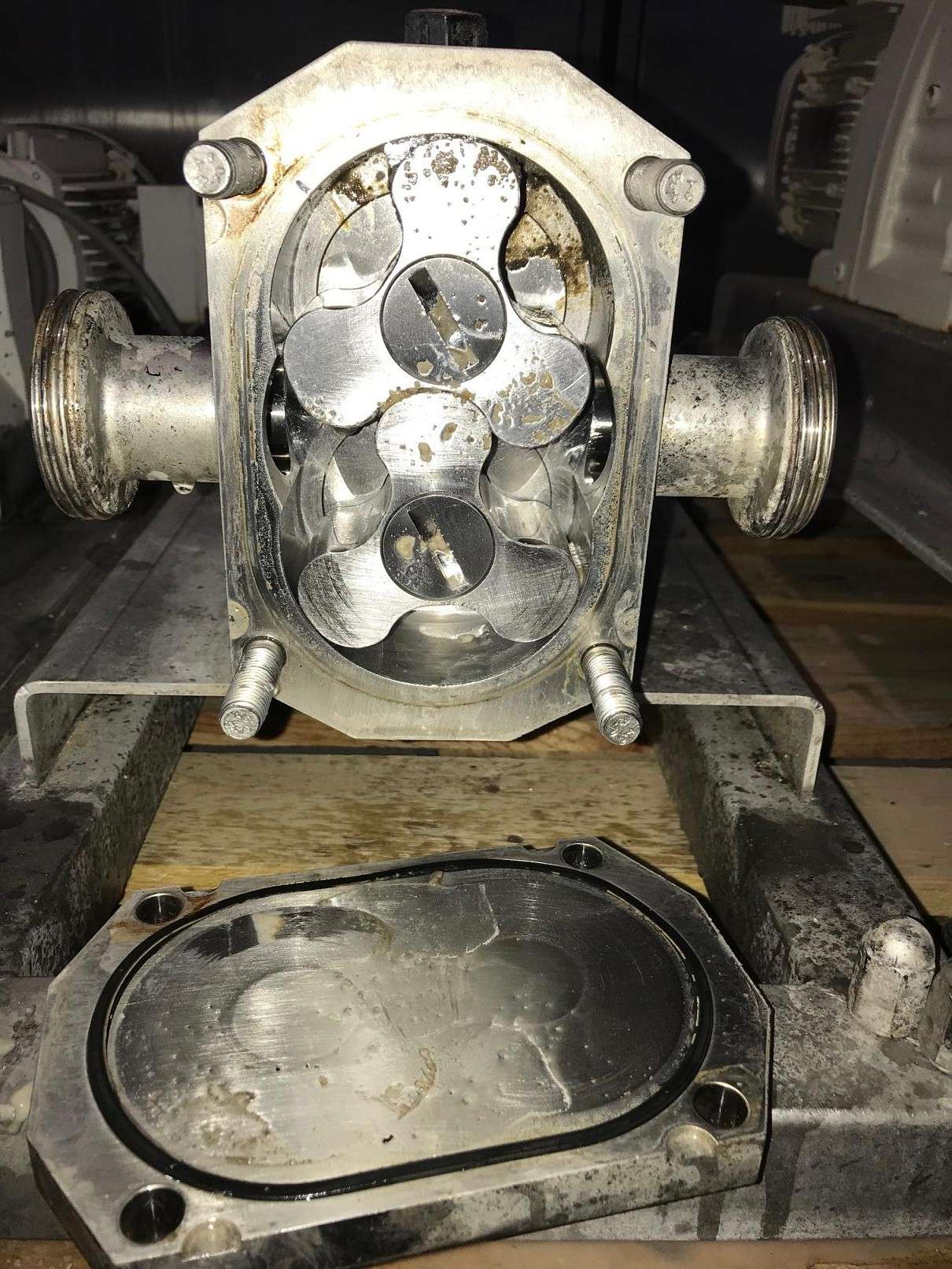 Rotary Lobe Pump 3