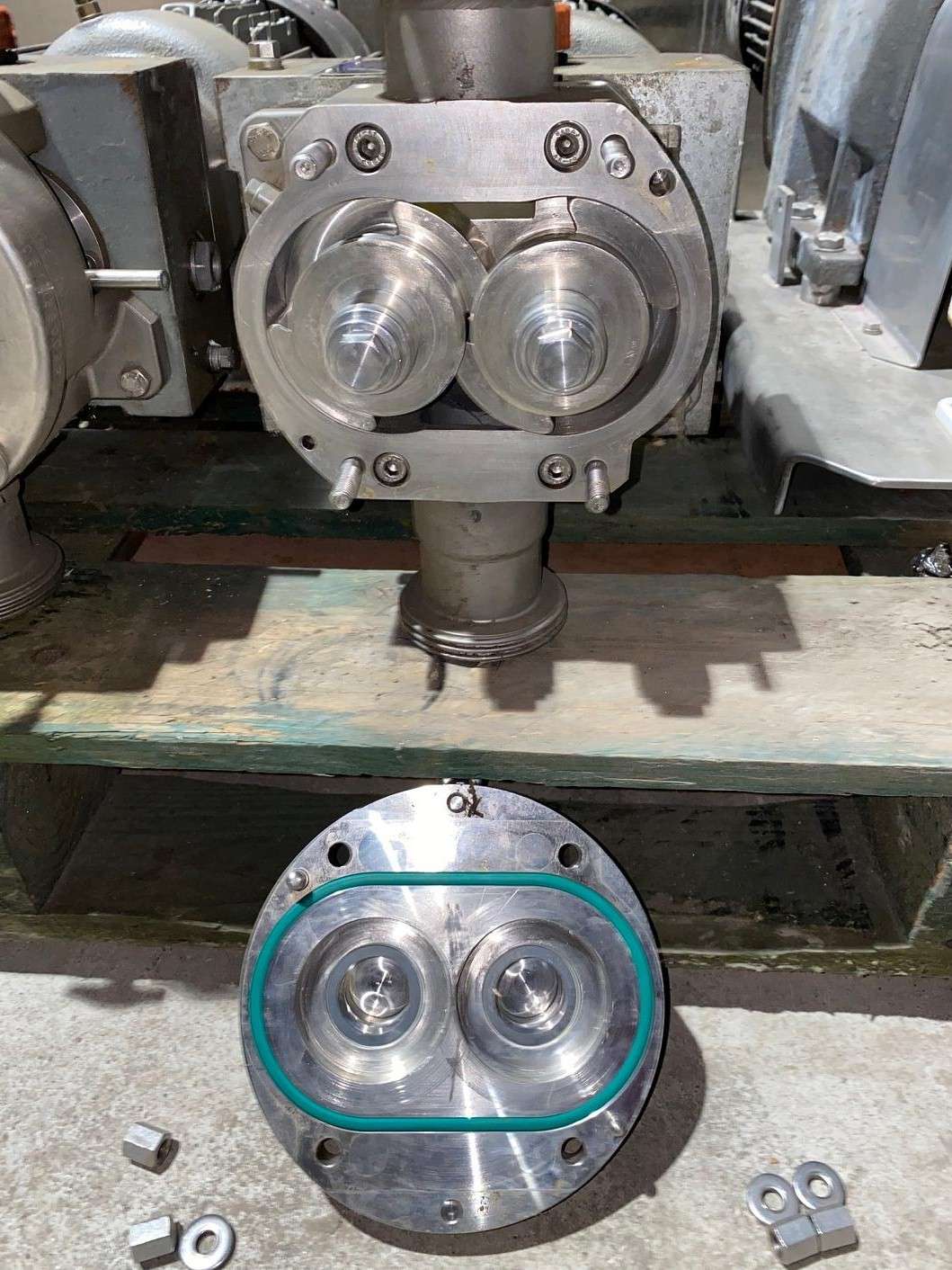 Rotary Lobe Pump 3