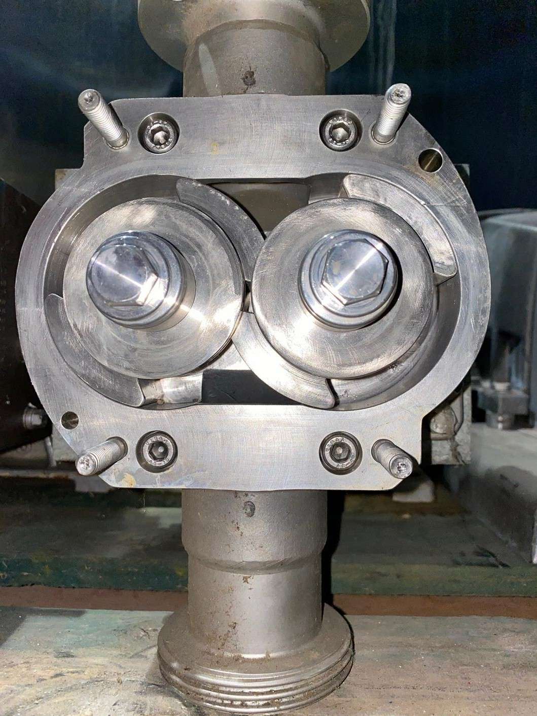 Rotary Lobe Pump 4