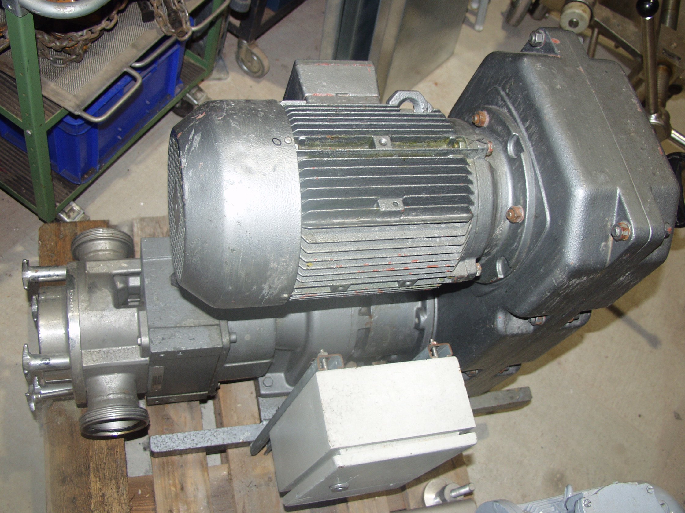 Rotary Lobe Pump