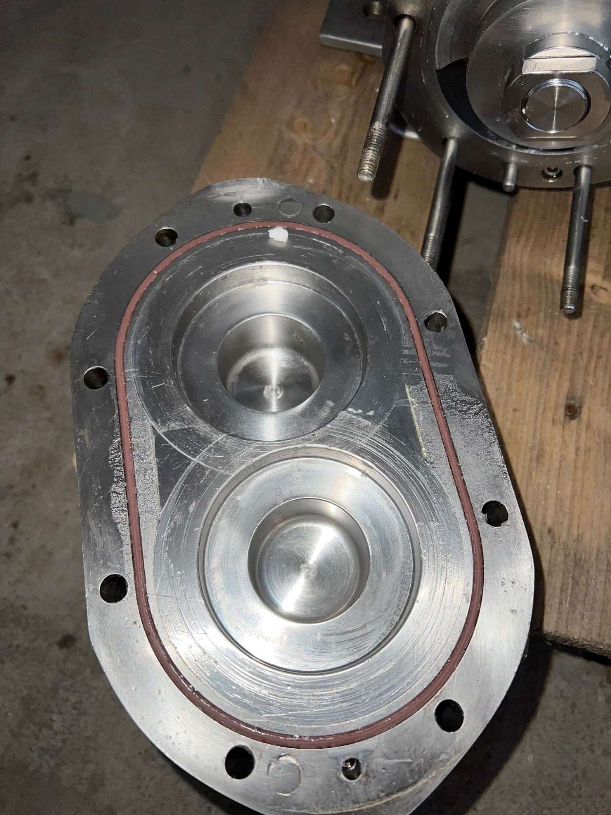 Rotary Lobe Pump 3