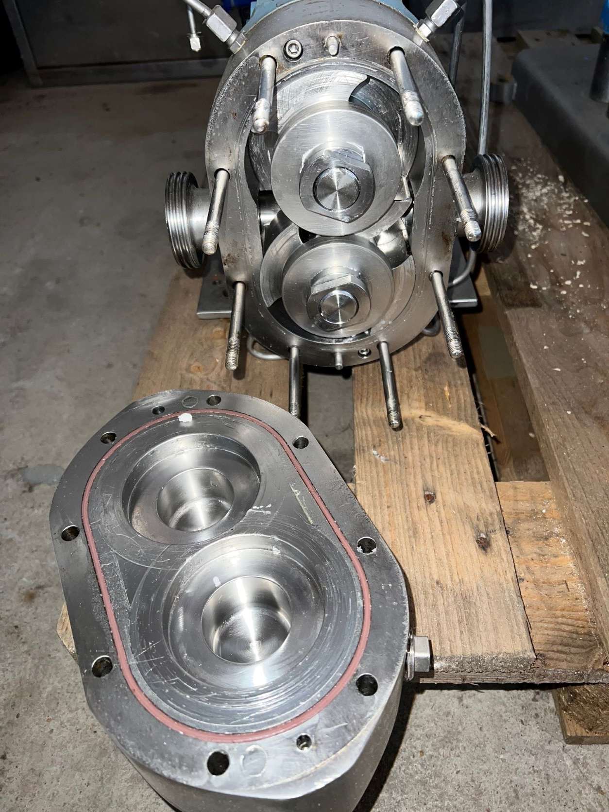 Rotary Lobe Pump 4