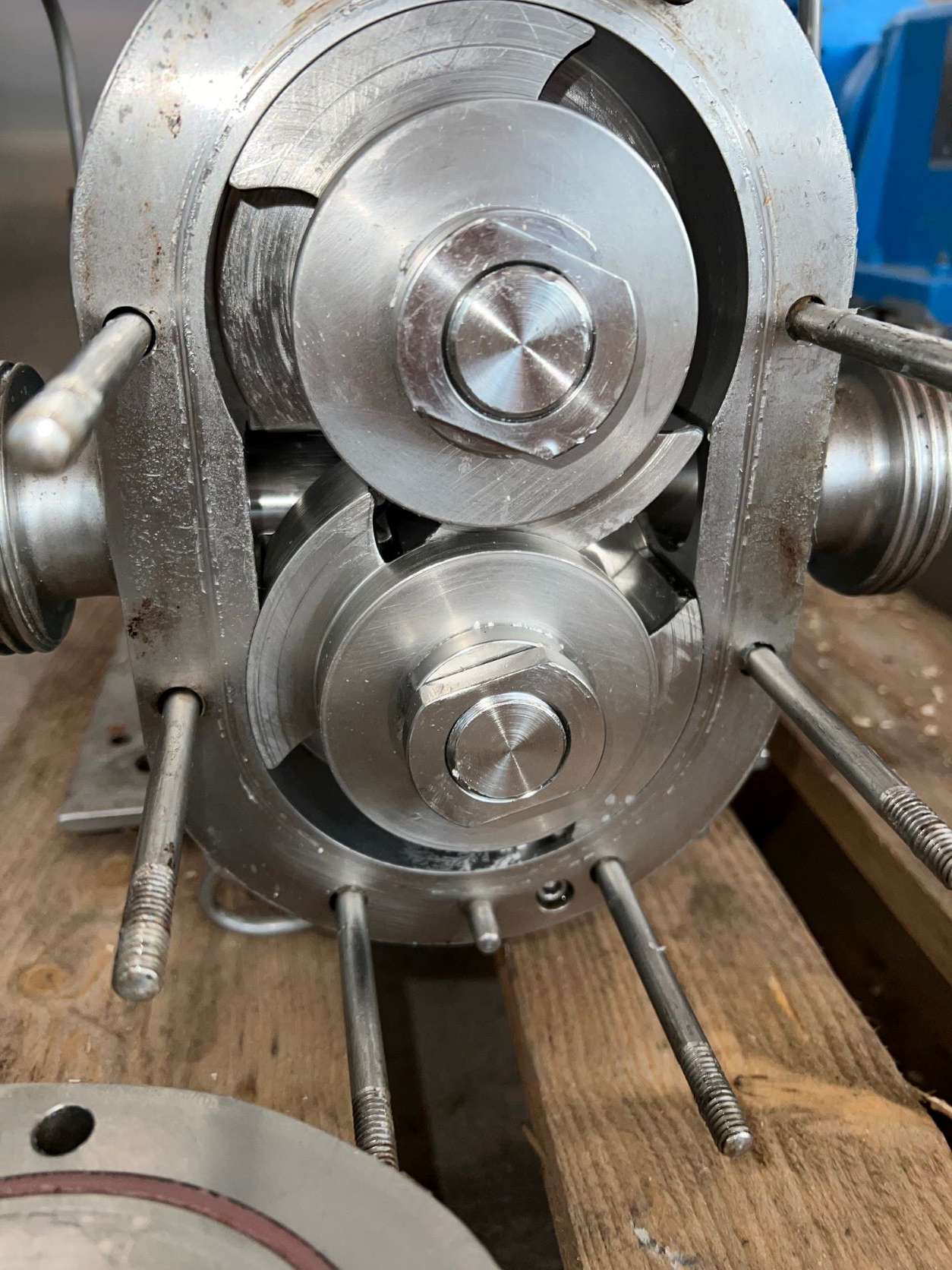 Rotary Lobe Pump 5