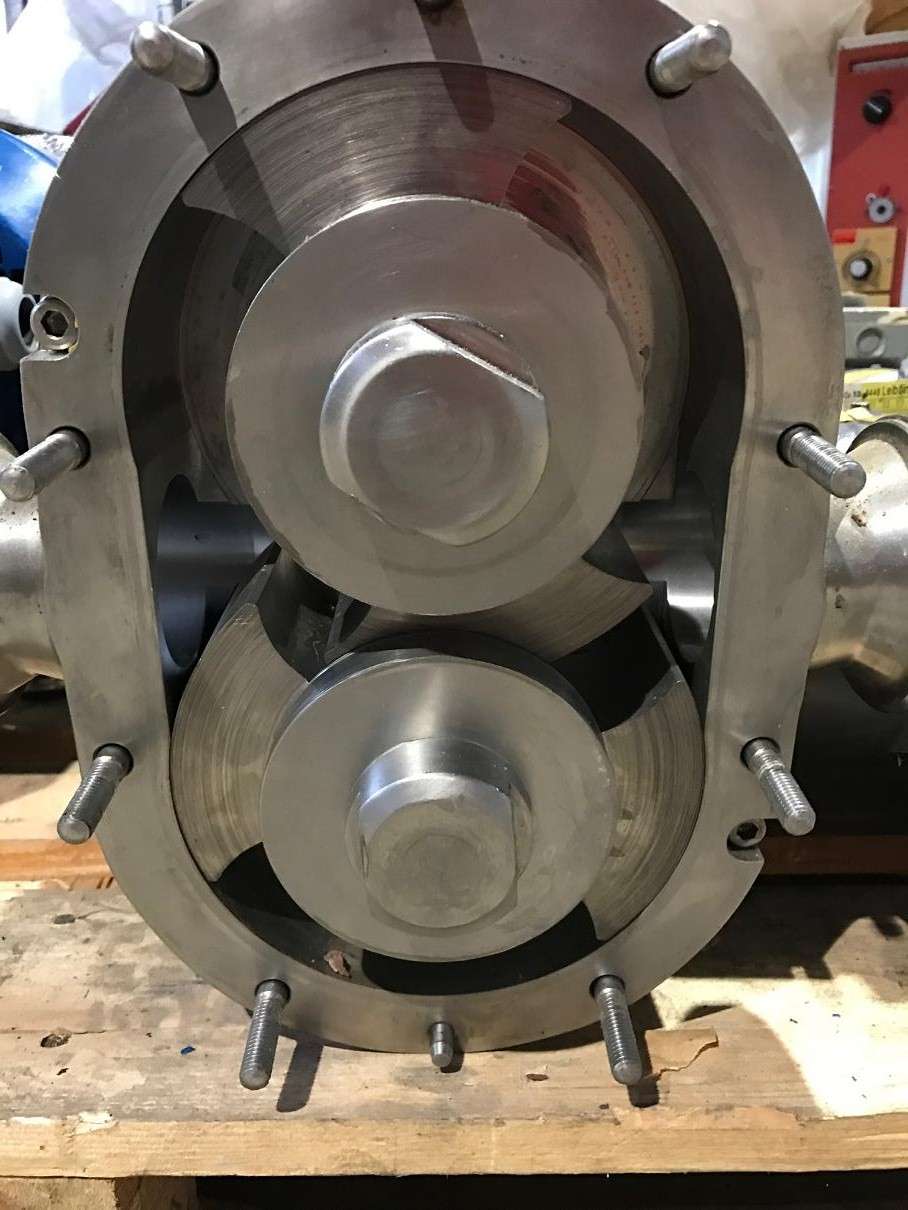 Rotary Lobe Pump 2