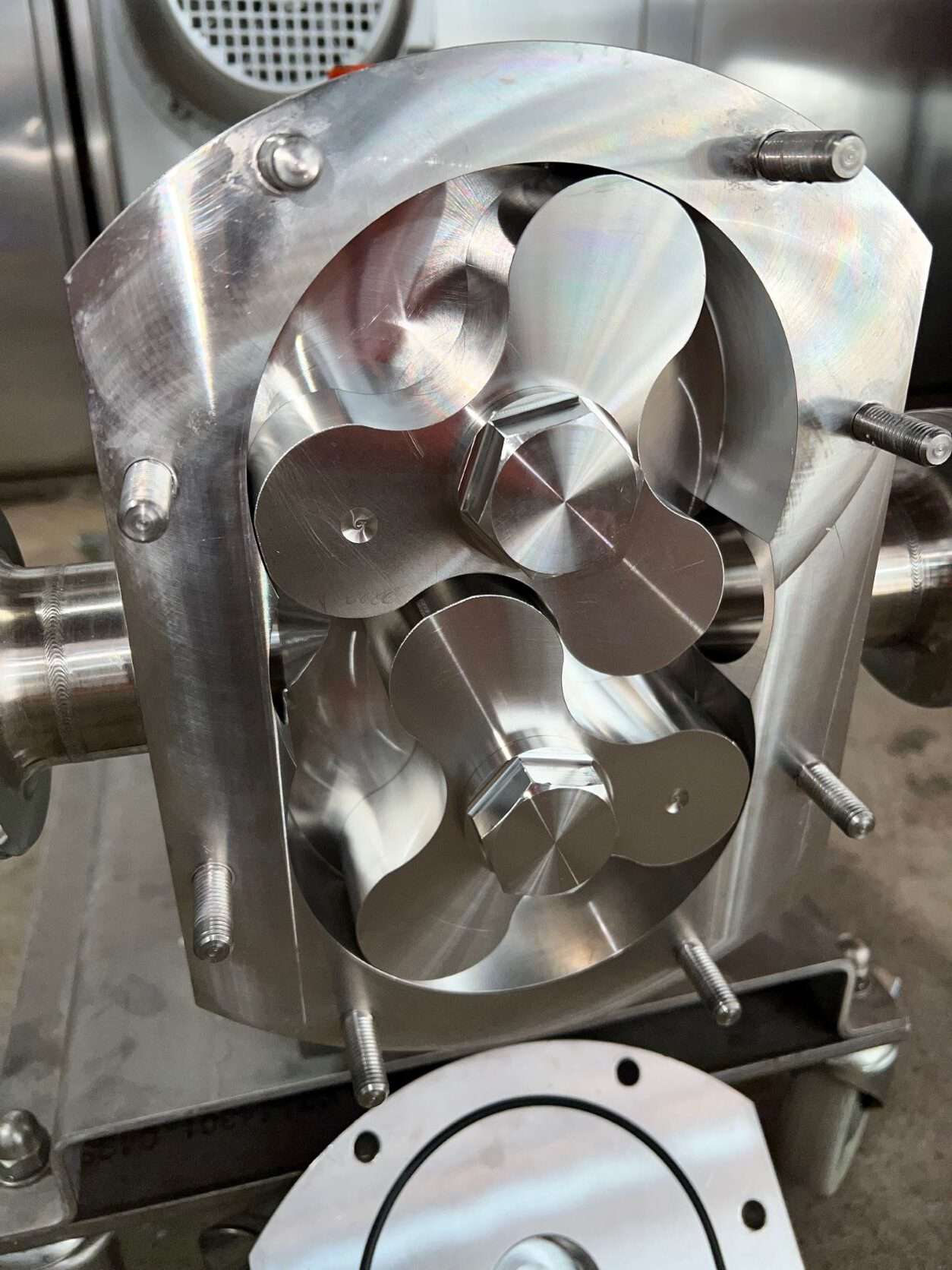 Rotary Lobe Pump 4