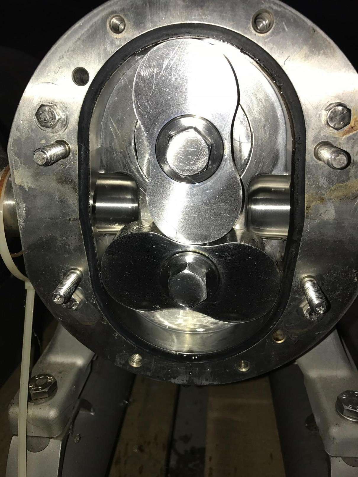 Rotary Lobe 3