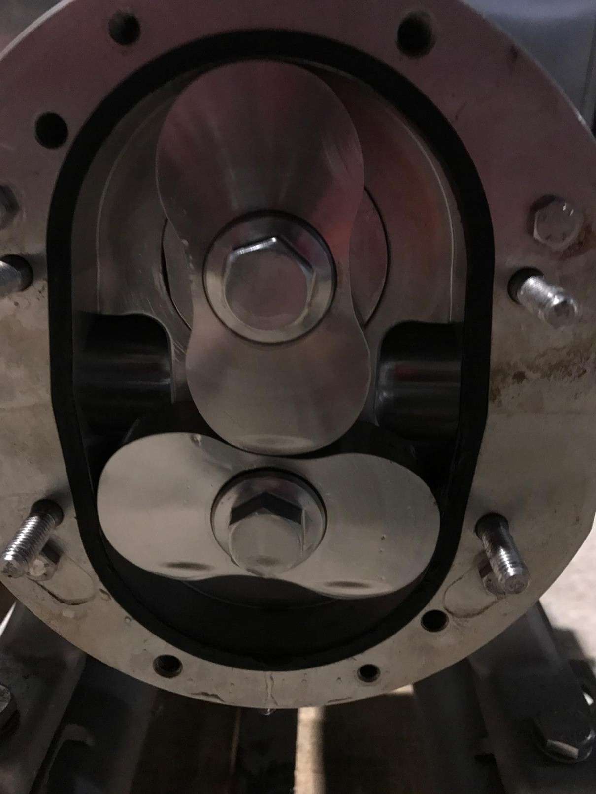 Rotary Lobe 5