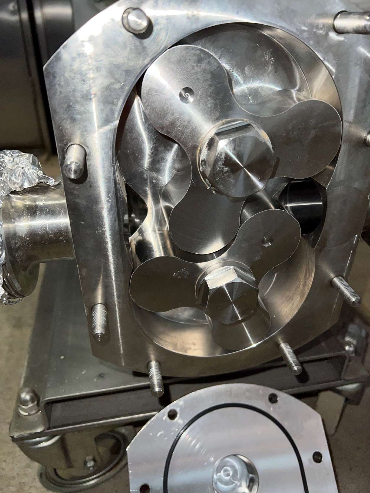 Rotary Lobe Pump 4