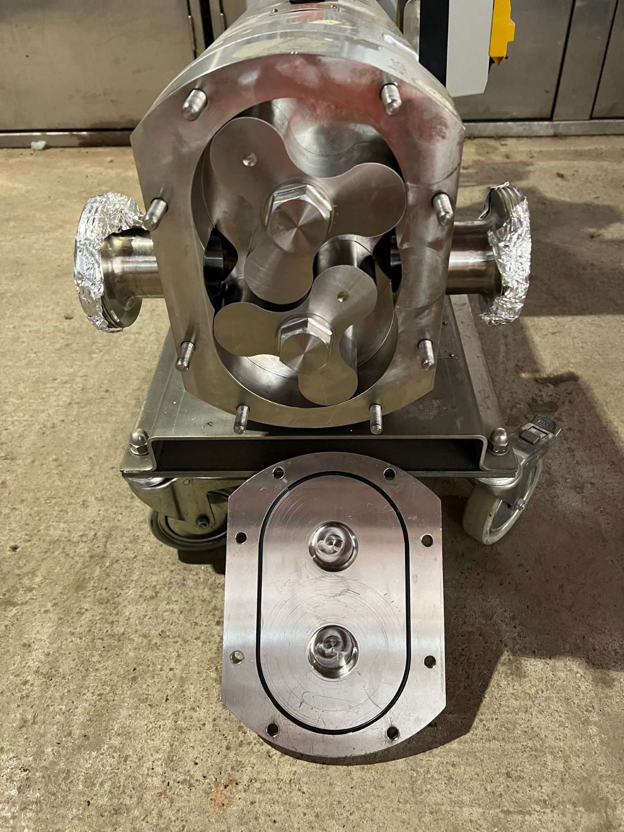 Rotary Lobe Pump 6