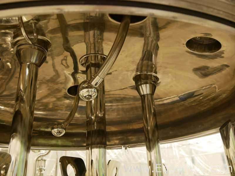 Homogenizing mixer 4