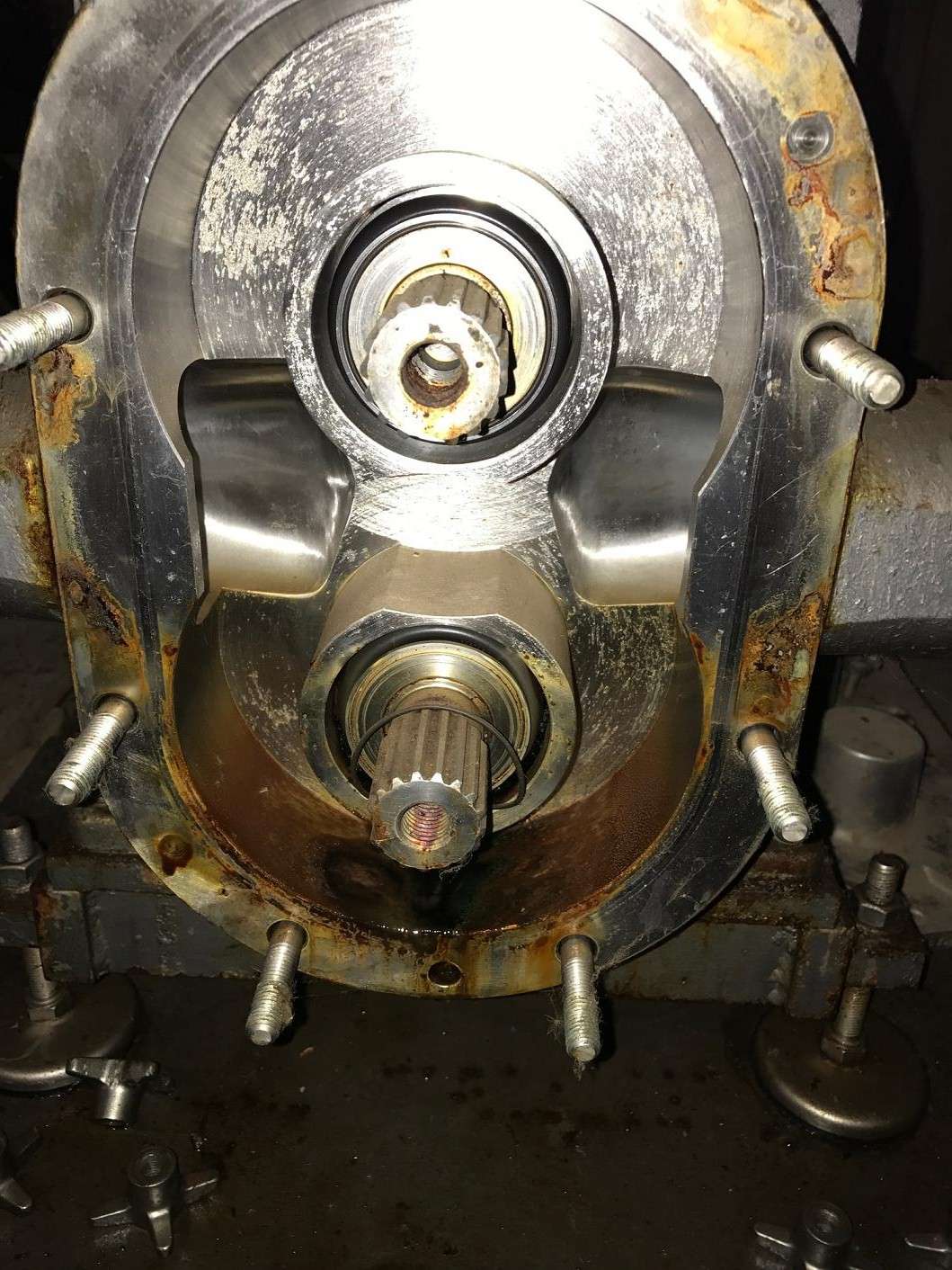 Rotary lobe pump 6