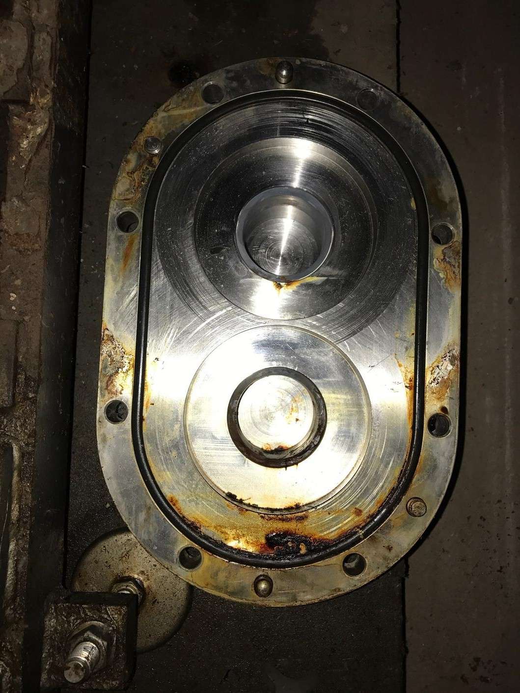 Rotary lobe pump 3