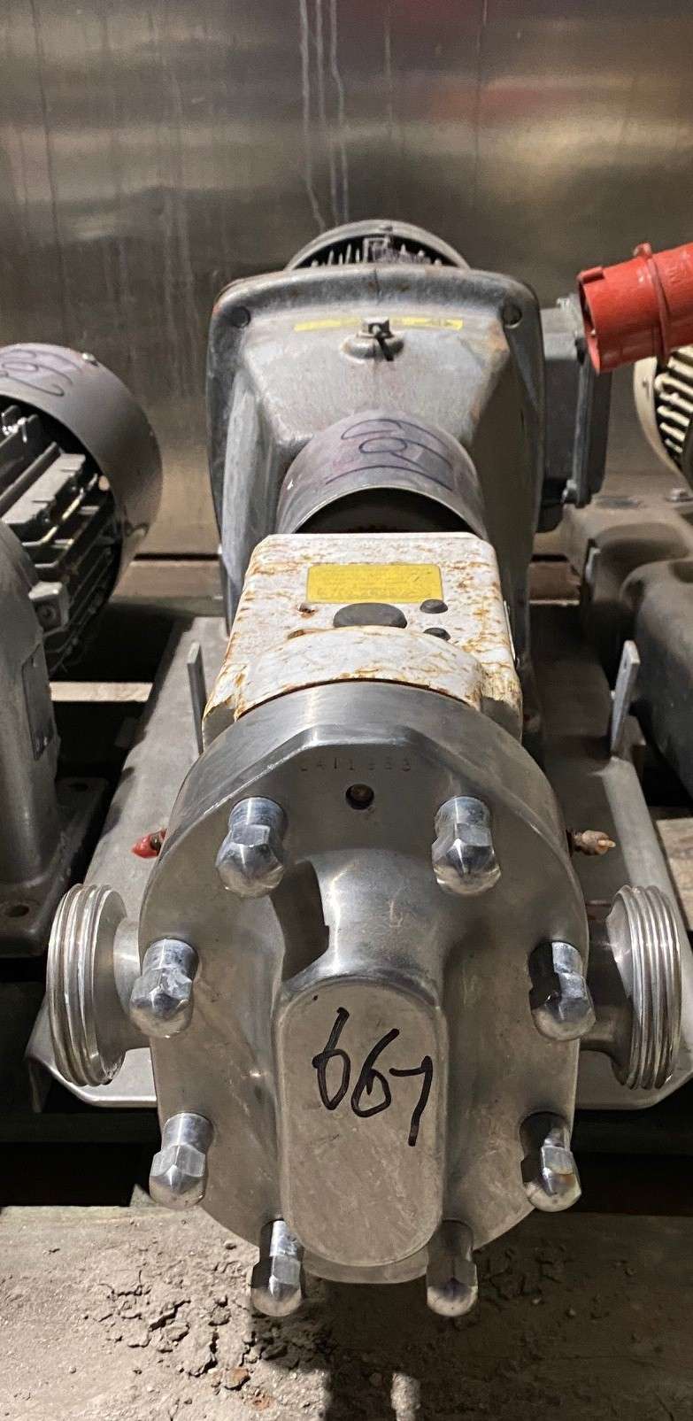 Rotary Lobe Pump 2