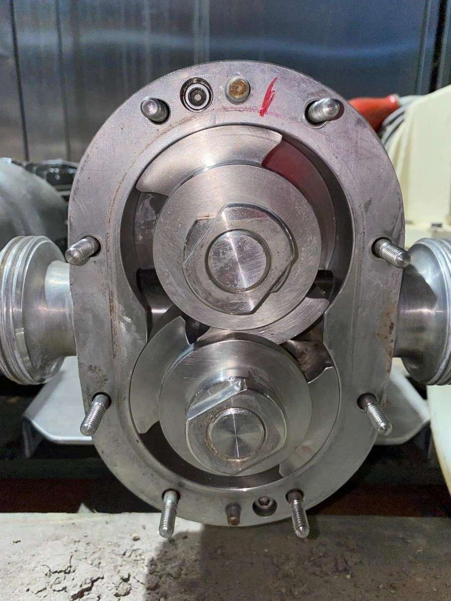 Rotary Lobe Pump 3