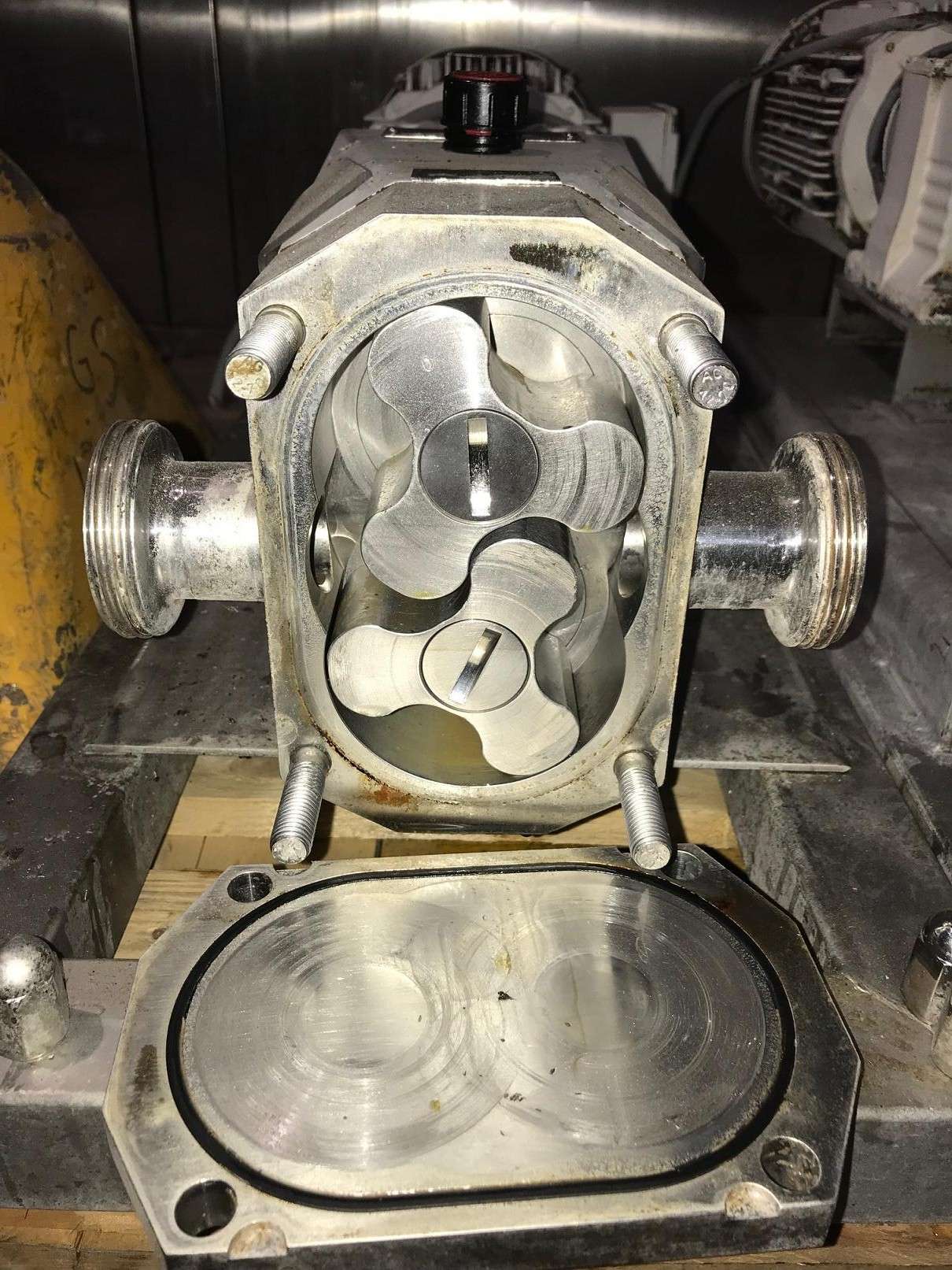 Rotary Lobe Pump 3